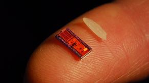 The chips that Intel produces can be as small as a grain of rice.